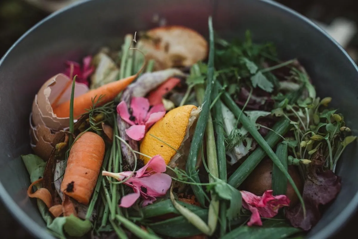 peut-on mettre des légumes cuits dans le compost
