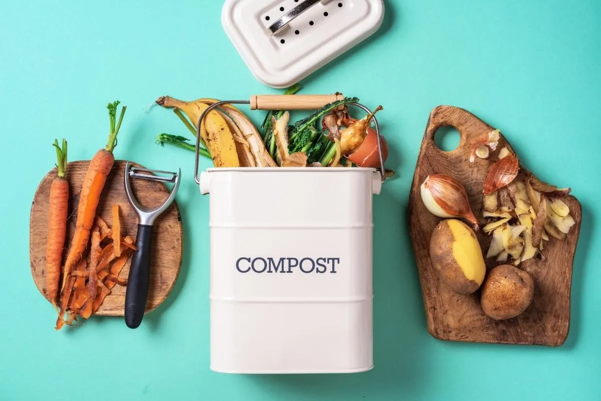 peut-on-mettre-des-frites-dans-le-compost