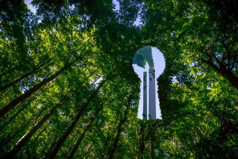 entreprise-greenwashing-le-top-5-des-entreprises-qui-le-pratiquent