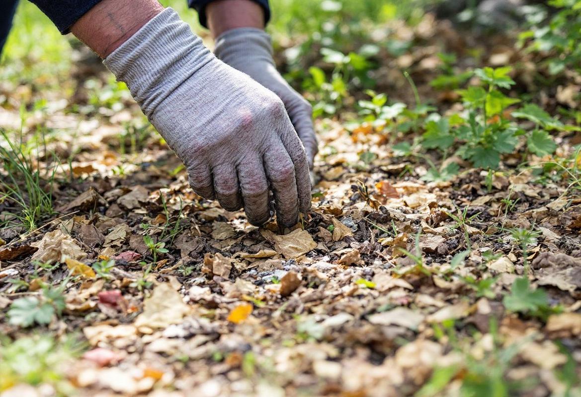 Peut on disperser les cendres d'un défunt dans son jardin ?