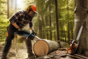 Tronconneuse electrique ou thermique : comment choisir ?